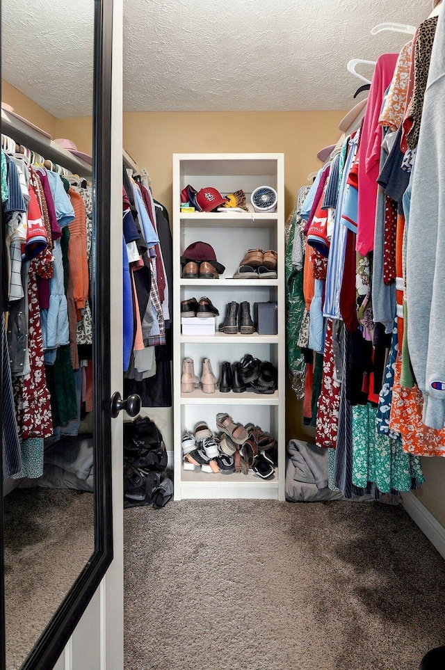 4531 W Somerset Dr, Battlefield, MO 65619 - walk in closet with carpet