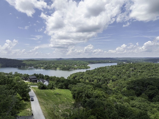 55 Seagull Ln, Cape Fair, MO 65624 - photo 1
