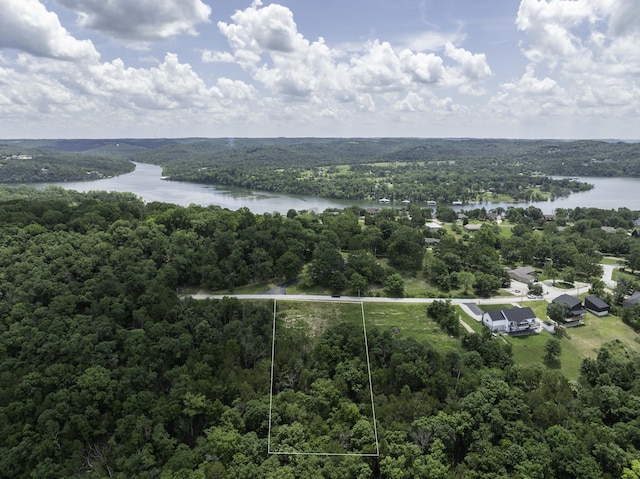 55 Seagull Ln, Cape Fair, MO 65624 - photo 2