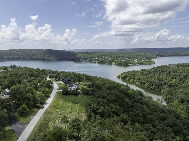 55 Seagull Ln, Cape Fair, MO 65624 - photo 3