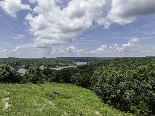 55 Seagull Ln, Cape Fair, MO 65624 - photo 8