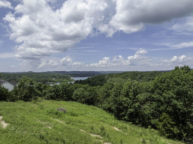 55 Seagull Ln, Cape Fair, MO 65624 - photo 6
