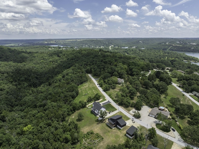 55 Seagull Ln, Cape Fair, MO 65624 - photo 11