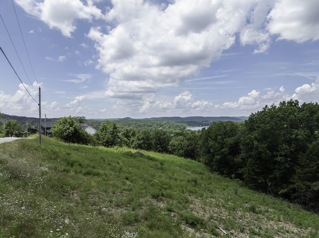 55 Seagull Ln, Cape Fair, MO 65624 - photo 9