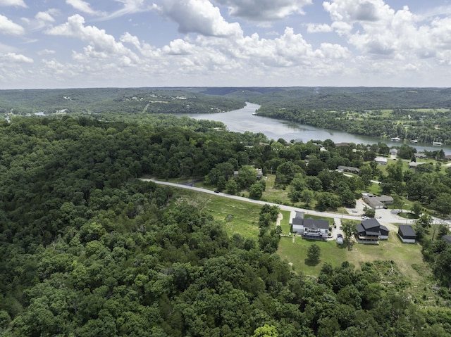 55 Seagull Ln, Cape Fair, MO 65624 - photo 5