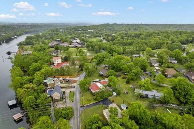 622 Lake Shore Dr, Branson, MO 65616 - photo 39