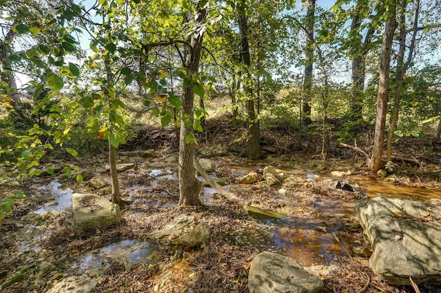 738 Rippling Creek Rd, Nixa, MO 65714 - photo 58
