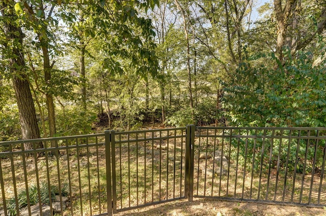 738 Rippling Creek Rd, Nixa, MO 65714 - photo 54
