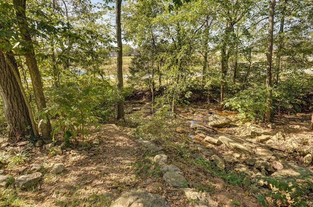 738 Rippling Creek Rd, Nixa, MO 65714 - photo 57