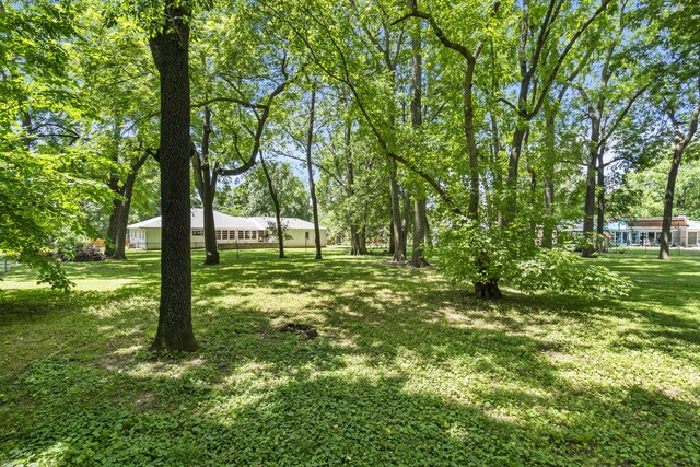 1471 E Bennett St, Springfield, MO 65804 - view of green lawn