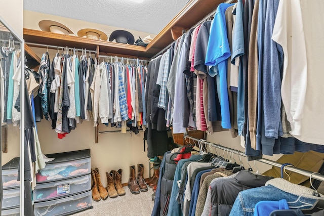 1850 E Farm Road 88, Springfield, MO 65803 - spacious closet with carpet flooring