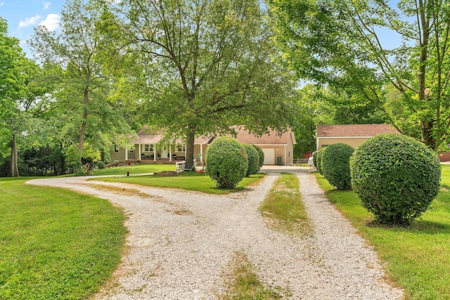 1850 E Farm Road 88, Springfield, MO 65803 - view of property hidden behind natural elements with curved driveway, a front yard, and stucco siding