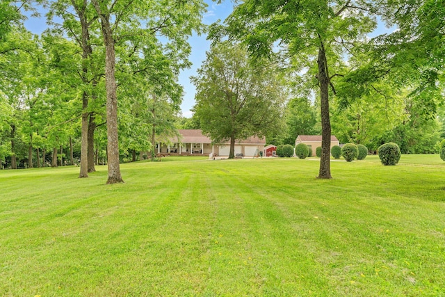 1850 E Farm Road 88, Springfield, MO 65803 - view of green lawn