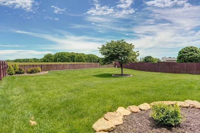 276 Steury Rd, Springfield, MO 65809 - view of fenced backyard