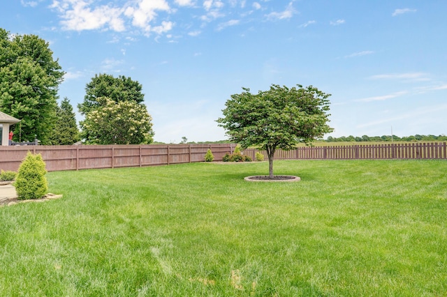 276 Steury Rd, Springfield, MO 65809 - view of fenced backyard