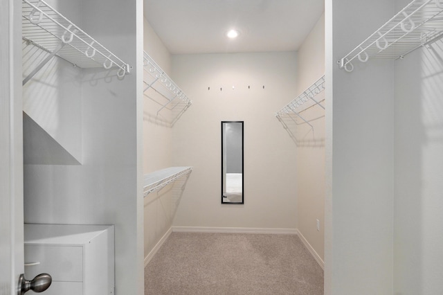 276 Steury Rd, Springfield, MO 65809 - spacious closet with carpet
