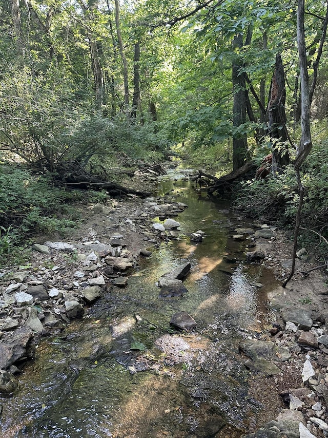 1950 N Crossway Rd, Fair Grove, MO 65648 - view of wooded area