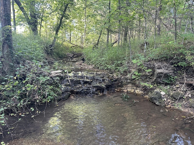 1950 N Crossway Rd, Fair Grove, MO 65648 - view of undeveloped land
