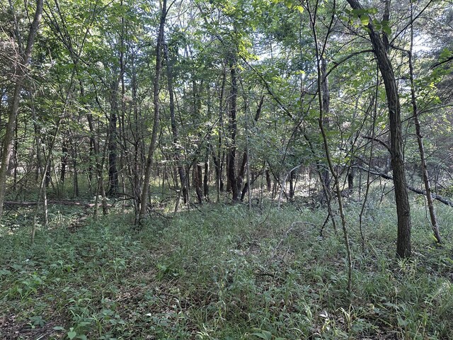 1950 N Crossway Rd, Fair Grove, MO 65648 - view of wooded area