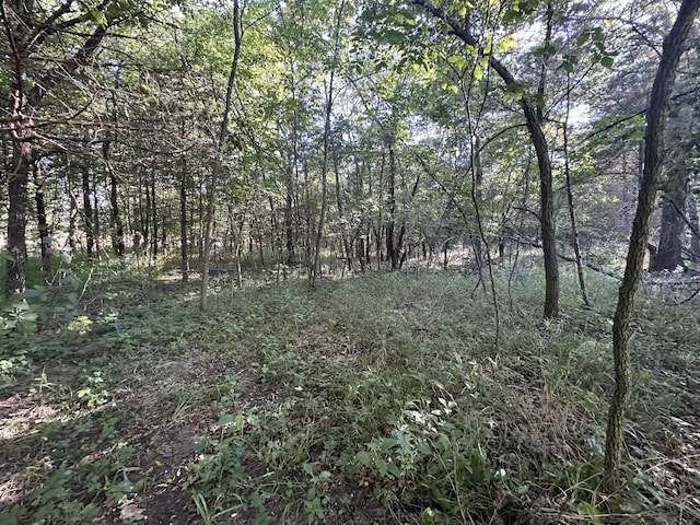 1950 N Crossway Rd, Fair Grove, MO 65648 - view of woods