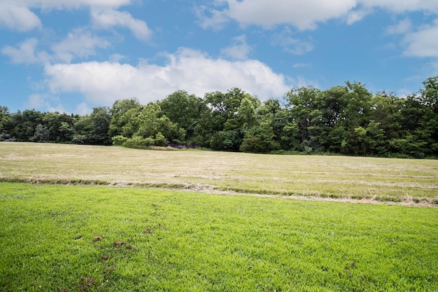 1950 N Crossway Rd, Fair Grove, MO 65648 - view of grassy yard featuring a rural view