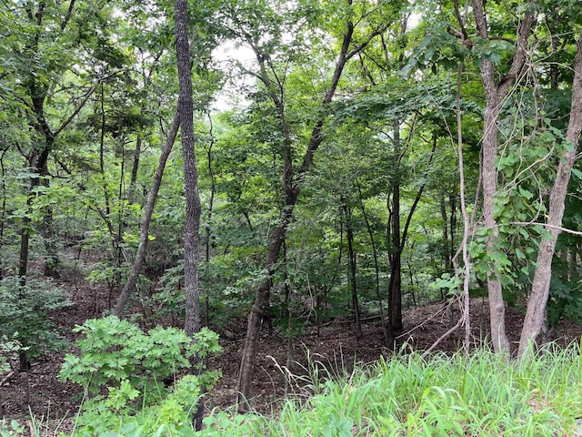 TBD Copperhead Rd, Cedar Creek, MO 65627