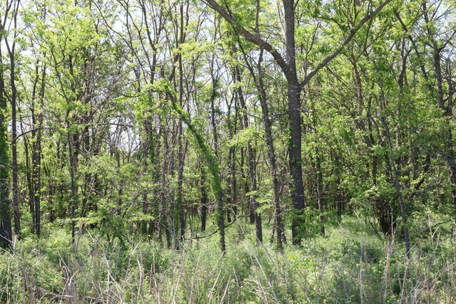 0000 E 1300th Rd # 1, Stockton, MO 65785 - photo 9
