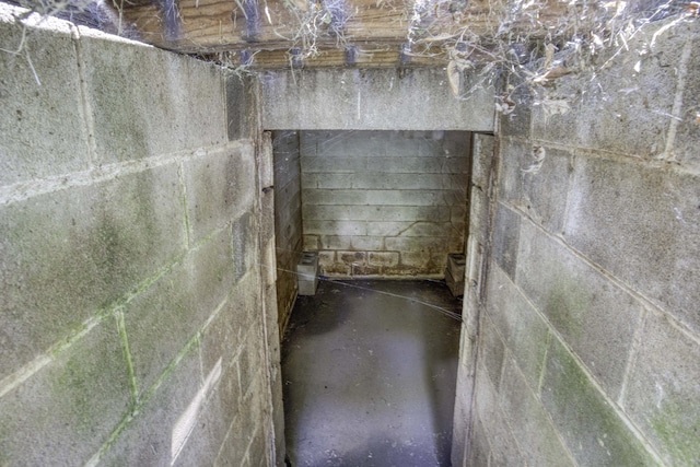 1650 S Fort Ave, Springfield, MO 65807 - view of basement