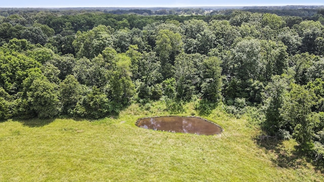 5603 County Road 3250, West Plains, MO 65775 - photo 13