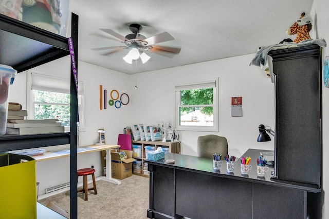 4045 S Broadway Ave, Springfield, MO 65807 - photo 13