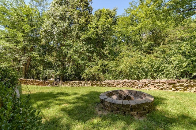129 Memory Rd, Galena, MO 65656 - photo 43