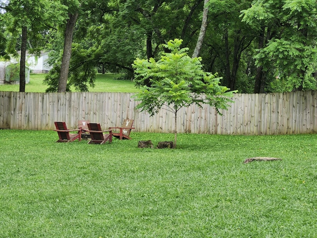 404 Hawk St, Norwood, MO 65717 - photo 15