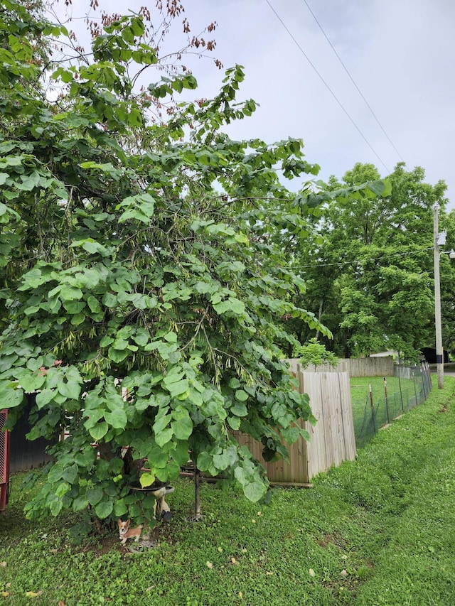 404 Hawk St, Norwood, MO 65717 - photo 13