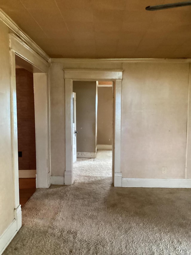 1231 W Main St, Fordland, MO 65652 - carpeted empty room with ornamental molding