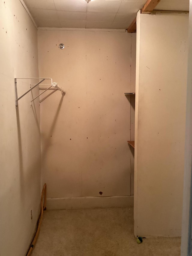 1231 W Main St, Fordland, MO 65652 - view of spacious closet