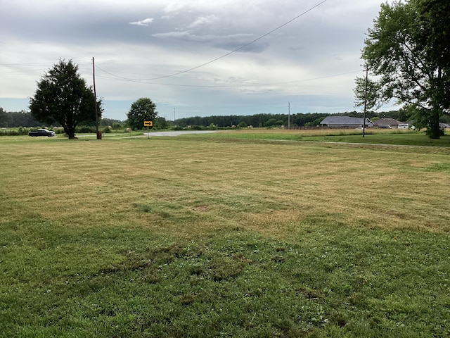 1231 W Main St, Fordland, MO 65652 - view of green lawn