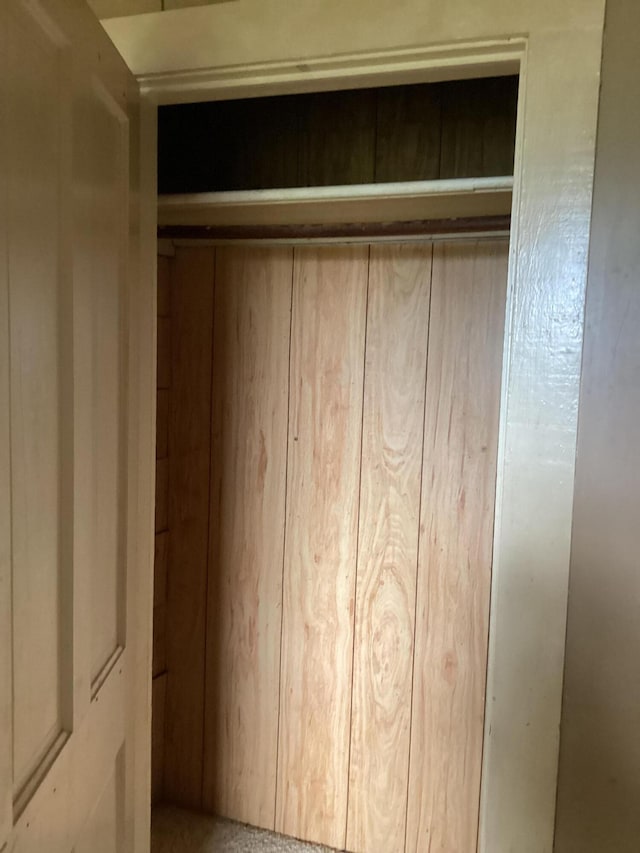 1231 W Main St, Fordland, MO 65652 - view of closet
