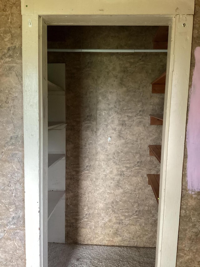1231 W Main St, Fordland, MO 65652 - view of closet