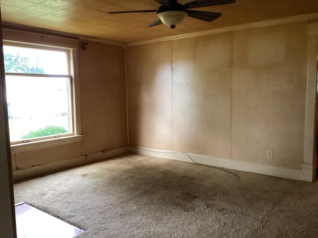 1231 W Main St, Fordland, MO 65652 - spare room with carpet flooring, a ceiling fan, and crown molding