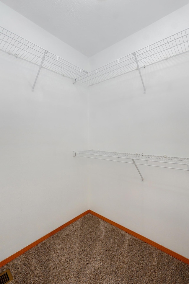 409 Ace Ct, Nixa, MO 65714 - spacious closet with carpet floors