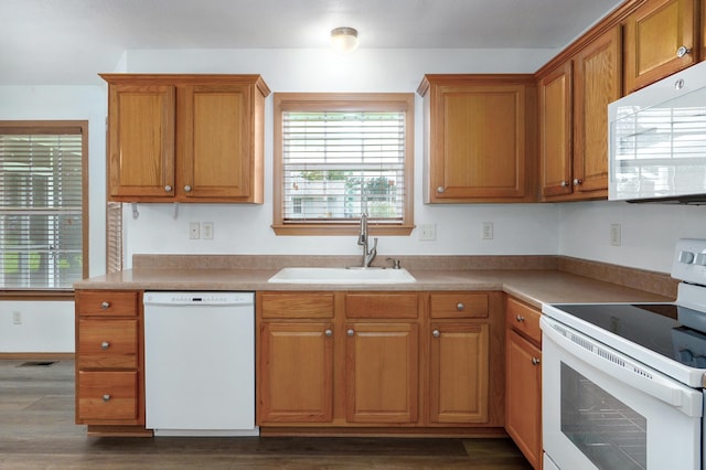 409 Ace Ct, Nixa, MO 65714 - kitchen with white appliances, plenty of natural light, dark wood-style flooring, and brown cabinets