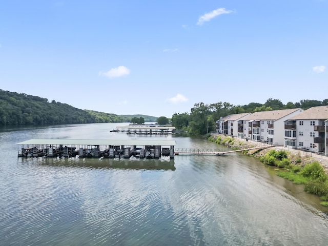 2529 State Highway 176 Unit B6, Rockaway Beach, MO 65740 - photo 10