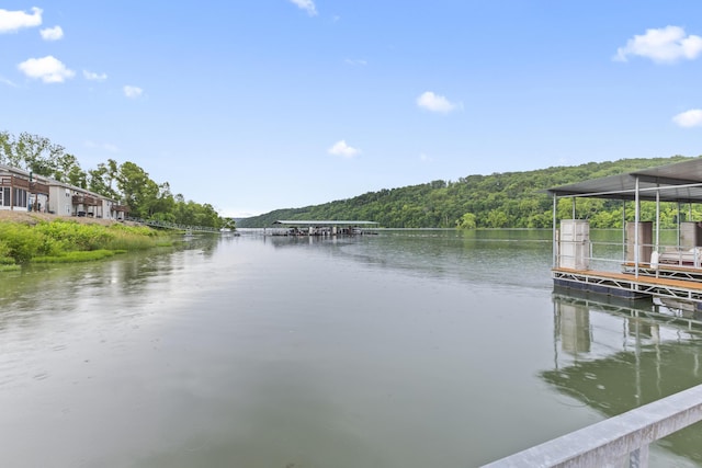 2529 State Highway 176 Unit B6, Rockaway Beach, MO 65740 - photo 11