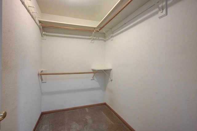 19107 Fir Rd, Joplin, MO 64801 - photo 33