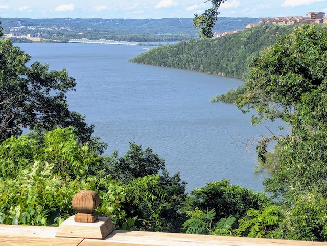 55 Cricket Hill Ln, Lampe, MO 65681 - water view