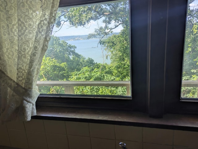 55 Cricket Hill Ln, Lampe, MO 65681 - detailed view of nearby water