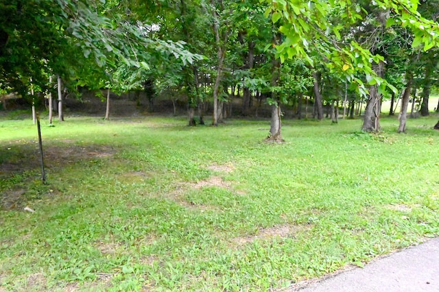 606 W Kosciusko, Warsaw, MO 65355 - photo 37
