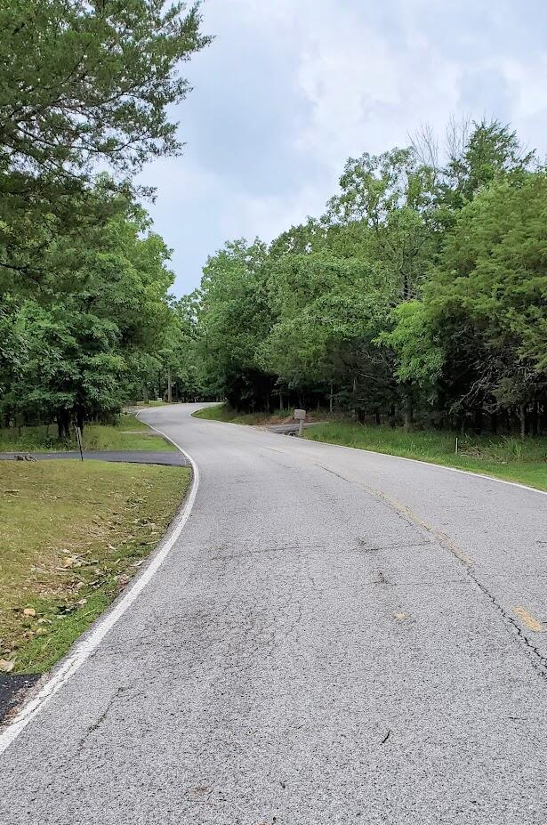 1536 Little Aunts Creek Rd, Kimberling City, MO 65686 - photo 79