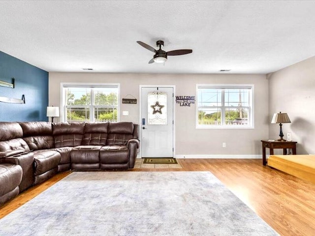 367 Flagstone Rd, Cape Fair, MO 65624 - photo 10