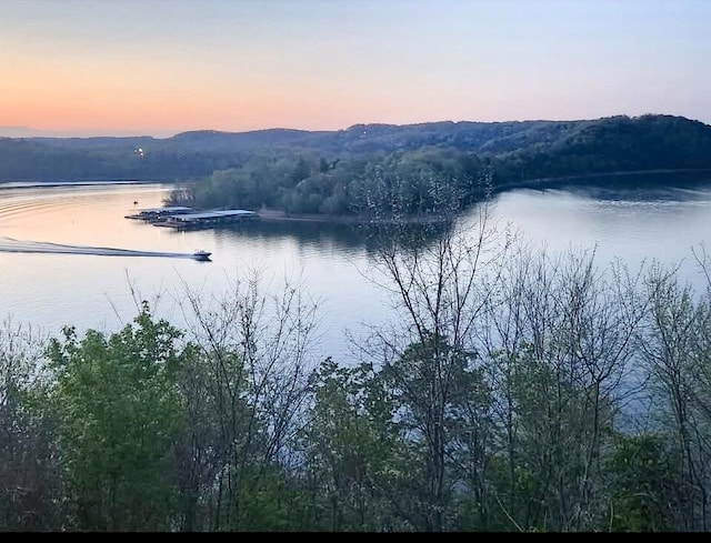 367 Flagstone Rd, Cape Fair, MO 65624 - photo 29